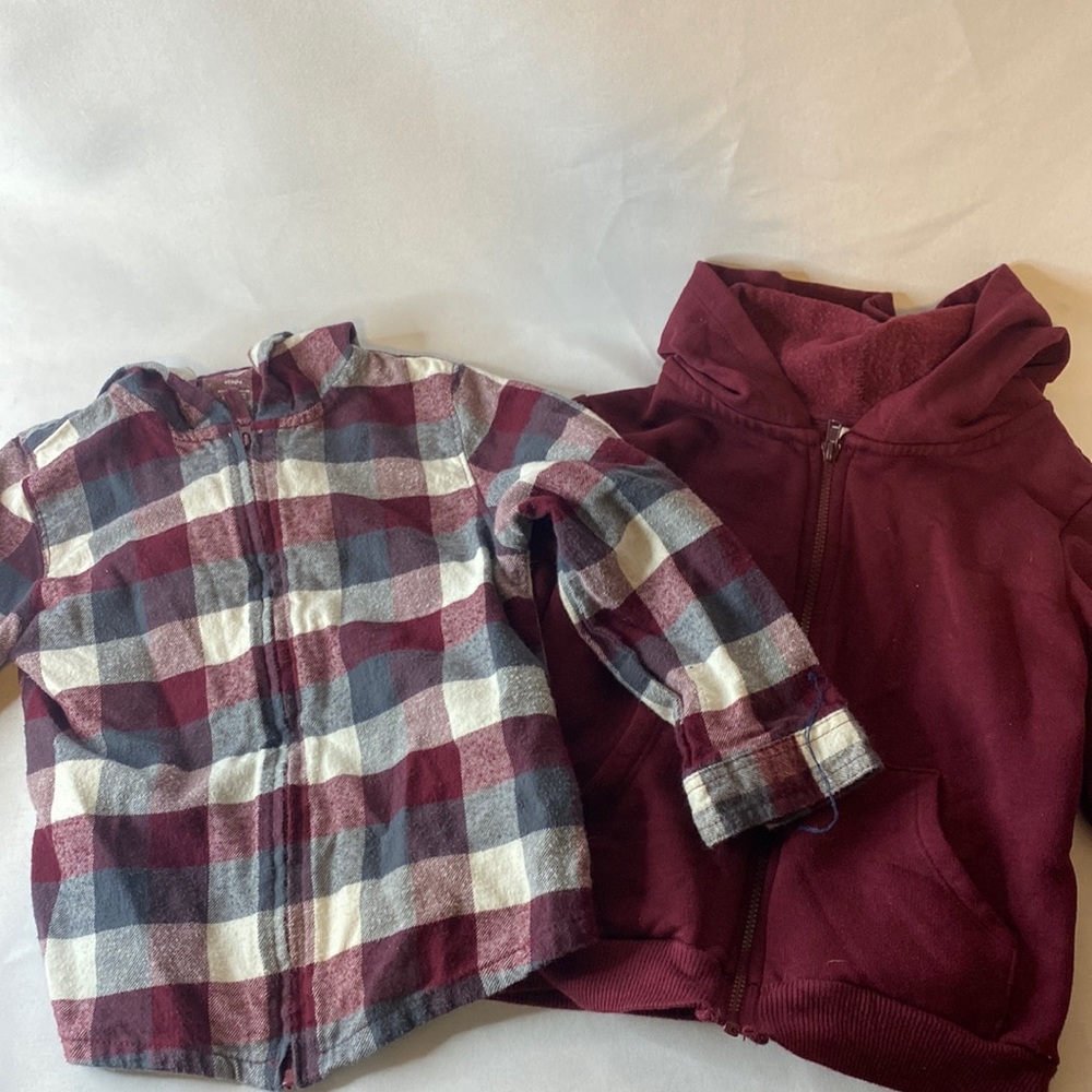 2 Pack Toddler Hoodies
